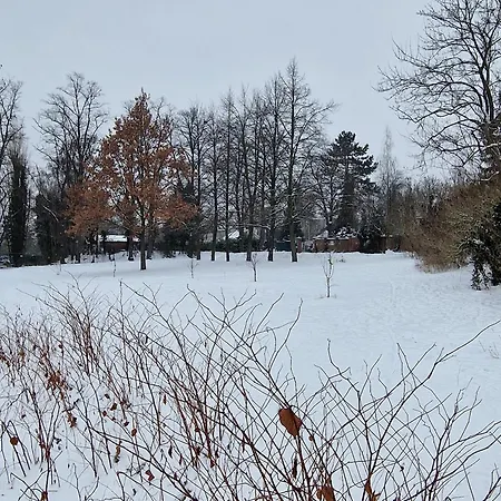 Gaestehaus Dominikus 호텔