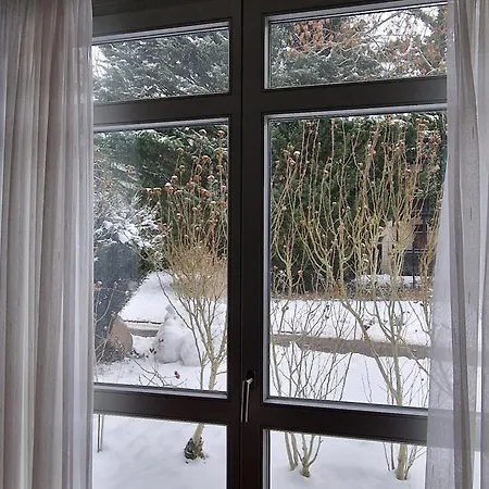 호텔 Gaestehaus Dominikus *